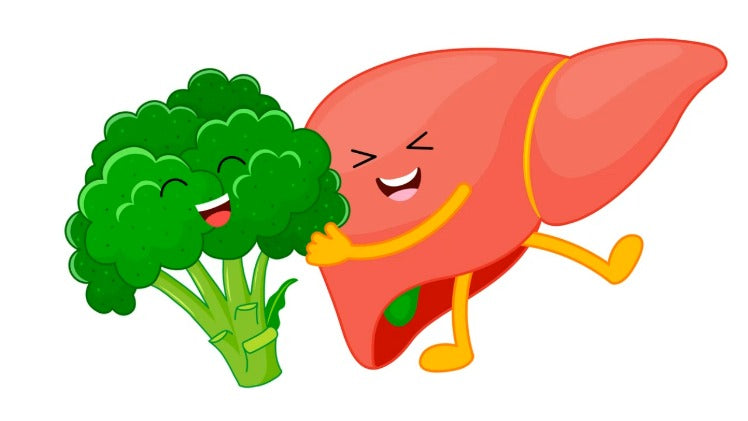 Plantahepa, 60 capsule