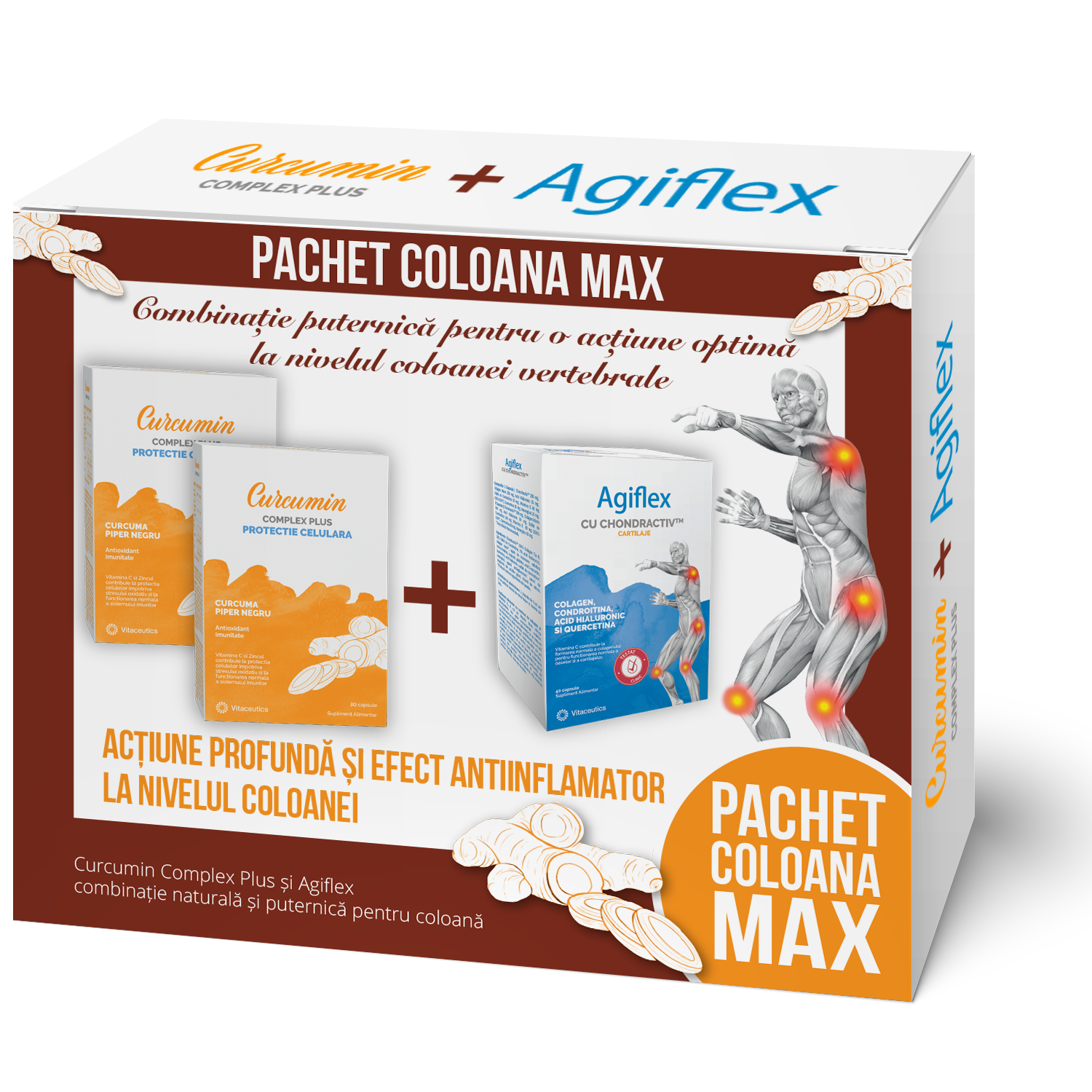 Pachet Coloana Max
